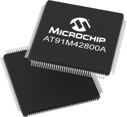 AT91M42800A